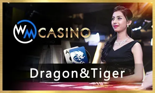 Diverse casino games and slot machines